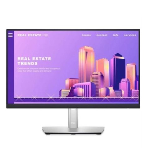 Monitor Dell P2422H 23.8" FHD Resolución 1920x1080 Panel IPS - DELL